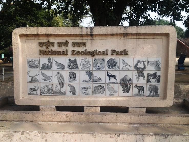 4. Delhi Zoo, National Zoological Park 